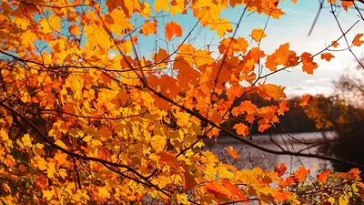 Cuándo empieza el otoño 2026 oficialmente en la Argentina Cuándo empieza el otoño 2026 oficialmente en la Argentina