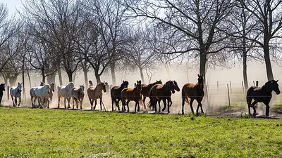San Antonio de Areco San Antonio de Areco