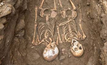 50 esqueletos humanos: hallaron una mega necrópolis de la Antigua Roma | Arqueología