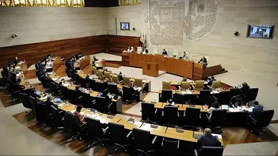 El PP busca sellar una alianza con Vox para imponer a su candidata en Extremadura El PP busca sellar una alianza con Vox para imponer a su candidata en Extremadura