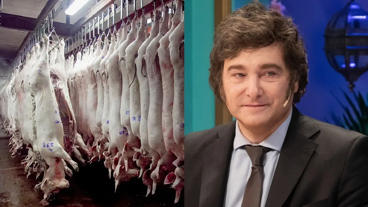 Frigorífico y Javier Milei