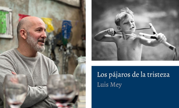 Así es Los Pájaros de la Tristeza, la novela de Luis Mey editada por Factotum | Libros