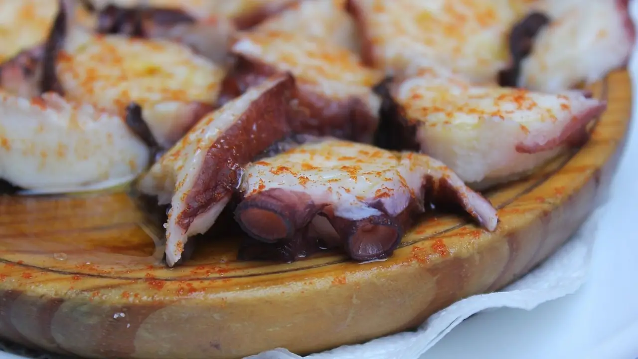 Pulpo
