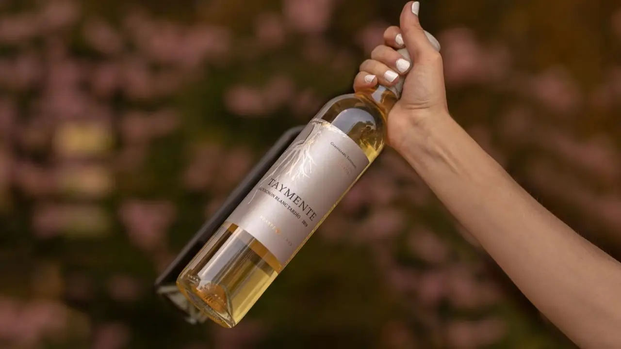 Día Internacional del Riesling: características de la uva y cuál fue el vino mendocino premiado en el mundo