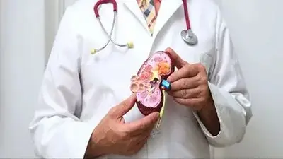 El 10% de la población argentina presenta alguna complicación renal El 10% de la población argentina presenta alguna complicación renal