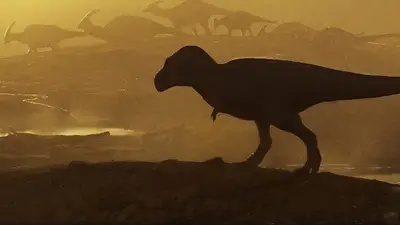 Tibia de gran tamaño hallada en Nuevo México pertenece a un pariente cercano del T. rex Tibia de gran tamaño hallada en Nuevo México pertenece a un pariente cercano del T. rex