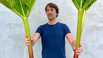 René Redzepi René Redzepi