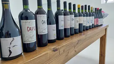 Vinos Vinos