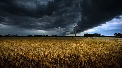 Vuelven las tormentas: el día exacto en que cambia el tiempo Vuelven las tormentas: el día exacto en que cambia el tiempo