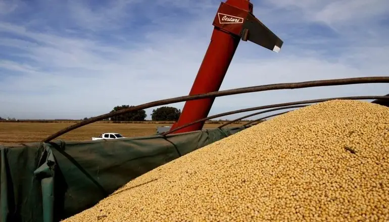 Exportadores de cereales alertan por los efectos de la guerra: "Muchísima volatilidad"