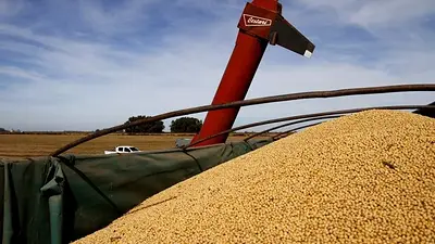 Exportadores de cereales alertan por los efectos de la guerra: "Muchísima volatilidad" Exportadores de cereales alertan por los efectos de la guerra: "Muchísima volatilidad"