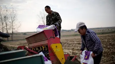 China recurre a sus reservas de fertilizantes ante la interrupción del suministro China recurre a sus reservas de fertilizantes ante la interrupción del suministro
