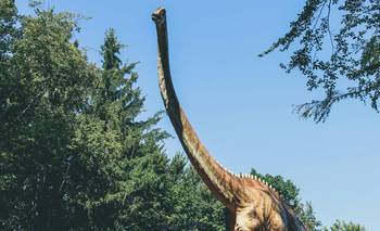 Las 2 series para ver en Netflix si te gustó "Los Dinosuarios", de Steven Spielberg | Netflix