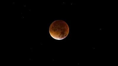 Luna Nueva Luna Nueva