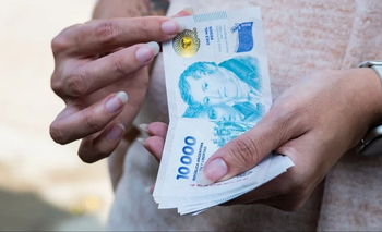 PUAM de ANSES: cuánto se cobra en abril | Anses