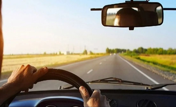 Una pareja viajó más de 1500 kilómetros para reencontrarse con su perro perdido | Animales