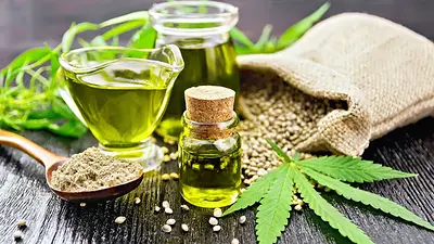 El cannabidiol podría aliviar síntomas de la esclerosis múltiple, según estudio argentino El cannabidiol podría aliviar síntomas de la esclerosis múltiple, según estudio argentino