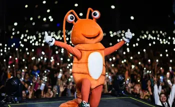 Tiene un puerto único y celebra la Fiesta Nacional del Camarón en Semana Santa: la ciudad  | Escapadas