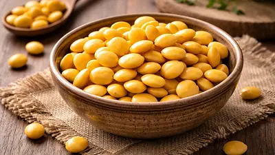 Alimentos Alimentos