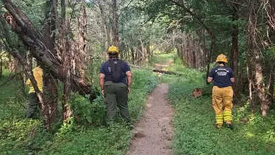 Desaparición de la nena de Córdoba: secuestraron los celulares de la familia Desaparición de la nena de Córdoba: secuestraron los celulares de la familia