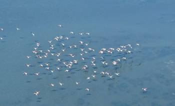 Así es el quinto lago salado endorreico más grande del mundo: está en Argentina | Curiosidades