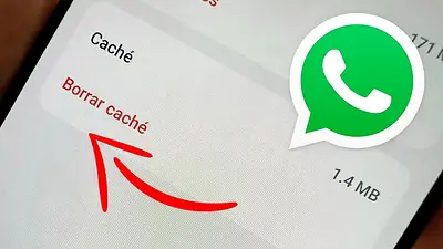 Whatsapp Whatsapp