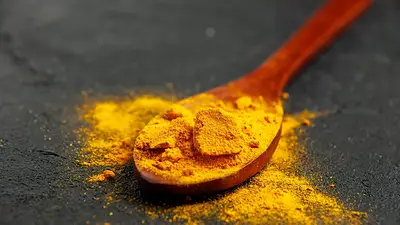 Alimentos Alimentos