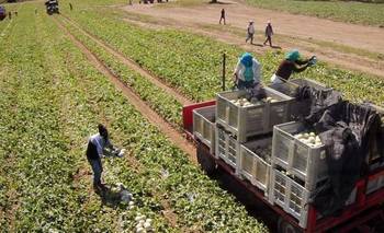 Economías regionales: se refuerza la agenda productiva junto a la Federación Agraria | El destape formosa