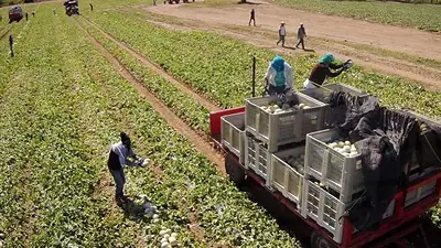 Formosa refuerza su agenda productiva junto a la Federación Agraria y apunta contra las políticas nacionales Formosa refuerza su agenda productiva junto a la Federación Agraria y apunta contra las políticas nacionales