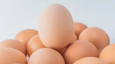 Alimentos Alimentos