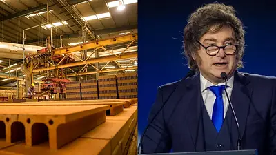Fábrica de ladrillos y Javier Milei Fábrica de ladrillos y Javier Milei