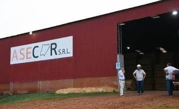Como en La Forestal: operarios de un aserradero cobran con vales | Corrientes
