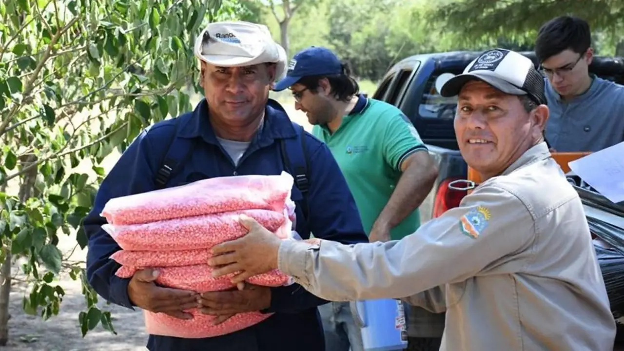 A contramano de Nación: Formosa implementa políticas para fortalecer la producción local