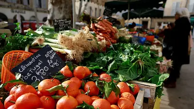 Francia apoya a los agricultores ante alza de los precios del combustible y los fertilizantes Francia apoya a los agricultores ante alza de los precios del combustible y los fertilizantes