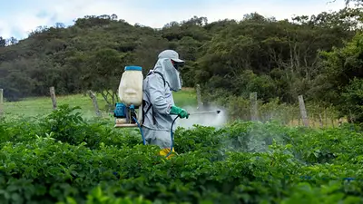 Pesticidas. Pesticidas.