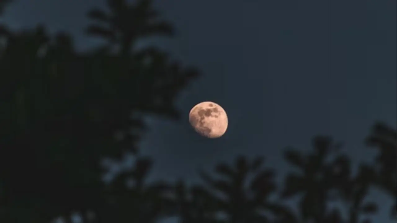 Luna rosa.