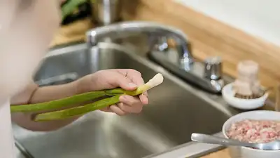 Casero Casero