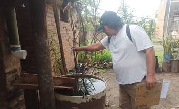 Formosa intensifica la prevención del dengue tras el aumento de mosquitos | Salud pública