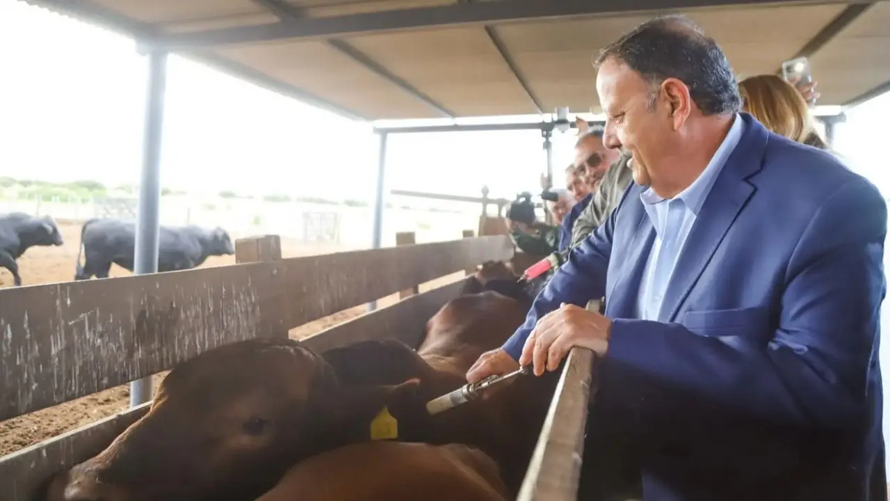 Garantizar el ingreso: La Rioja avanza en un seguro ganadero para mitigar el impacto de las sequías en el sur provincial