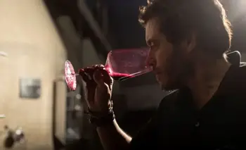 Dos vinos argentinos recibieron 100 puntos de James Suckling: cuáles son | Vinos