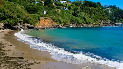 Ideal para Semana Santa: el balneario único de Chile que combina playas, ríos y bosque nativo Ideal para Semana Santa: el balneario único de Chile que combina playas, ríos y bosque nativo