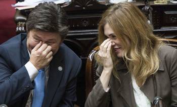 LLA blinda a Milei: seguirá copando las comisiones del Congreso con incondicionales | Congreso