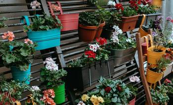 La nueva tendencia para que tu balcón parezca una selva | Plantas