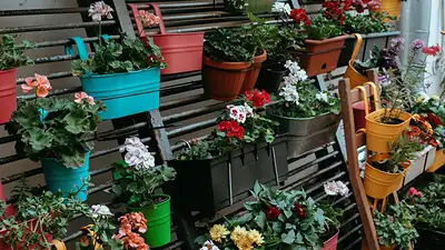 Las macetas tradicionales quedan atrás en 2026. La nueva tendencia para balcones apuesta por estructuras elevadas y diseño vertical. Las macetas tradicionales quedan atrás en 2026. La nueva tendencia para balcones apuesta por estructuras elevadas y diseño vertical.
