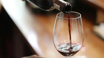 vinos españoles en Argentina vinos españoles en Argentina