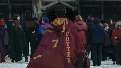 Harry Potter Harry Potter