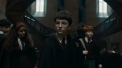 Harry Potter Harry Potter