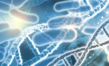 La bebida que los argentinos consumen todos los días y beneficia su microbiota | Salud