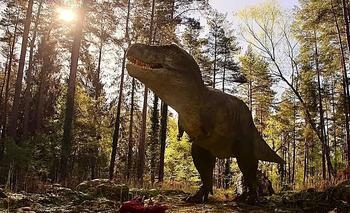 Netflix anota un nuevo fenómeno de la mano de Spielberg: sumó casi 25 millones de vistas | Netflix