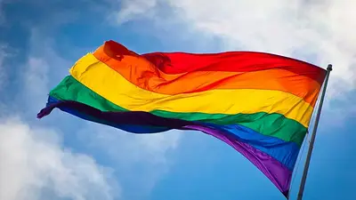 Corte colombiana define si permite la adopción a parejas homosexuales Corte colombiana define si permite la adopción a parejas homosexuales